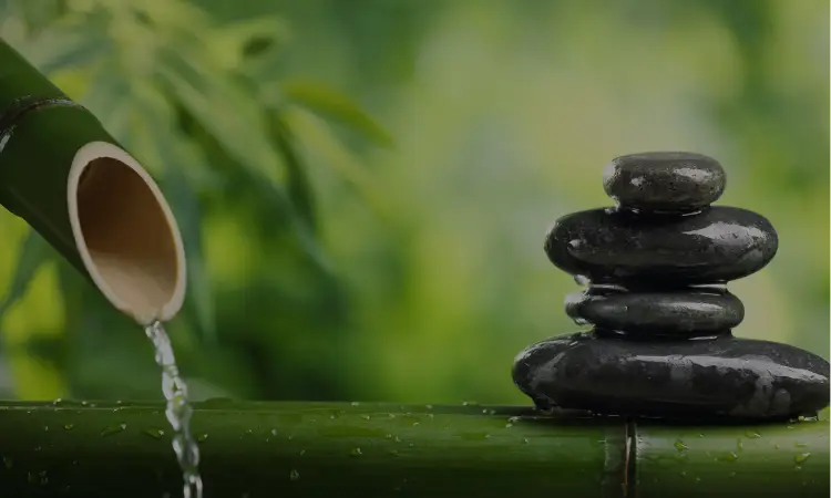 Nourish your Soul and Body