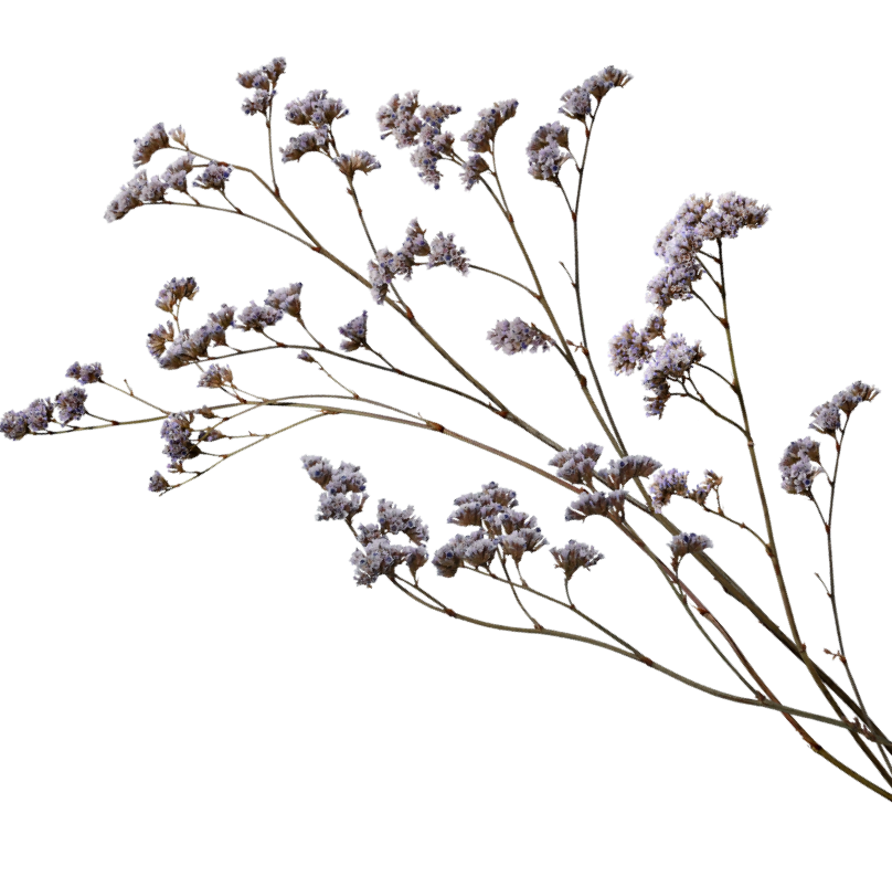 Spalon Health & Beauty Pvt Ltd Offer Banner